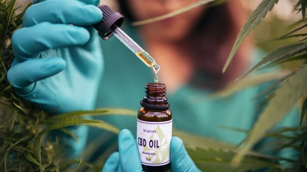Explore the Properties and Uses of CBD