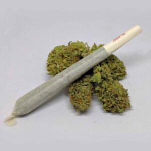 Lifter CBD Preroll