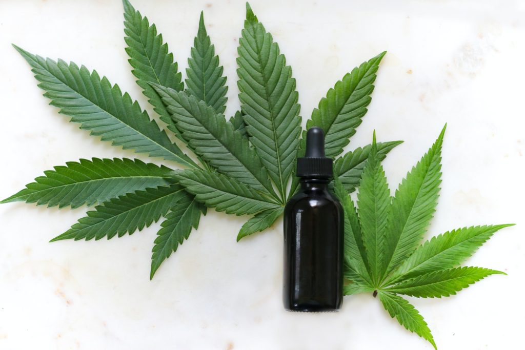 Glass bottle on top of three hemp leaves.