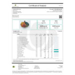 Celestial Wellness Daytime Gummy CBG