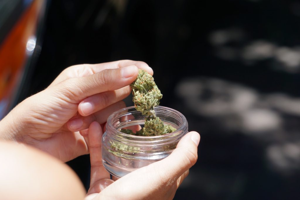 Person storing cannabis in a glass jar