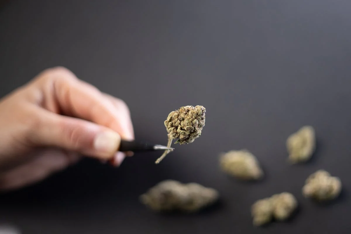 What is THCA and What Are Its Effects?