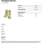 Pineapple Express COA 2