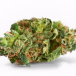 Pineapple Express THCa Flower