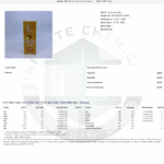 CBD Living disposable vape Mango 2G COA