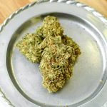 the-white-cbg-flower