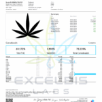 Habit Dispo Candy Jack COA