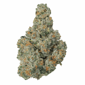 THCa Jet Fuel Flower and Blunt - Sativa
