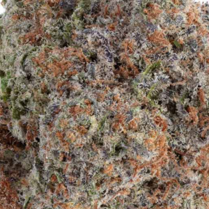 THCa Purple Punch Flower & Preroll - Indica