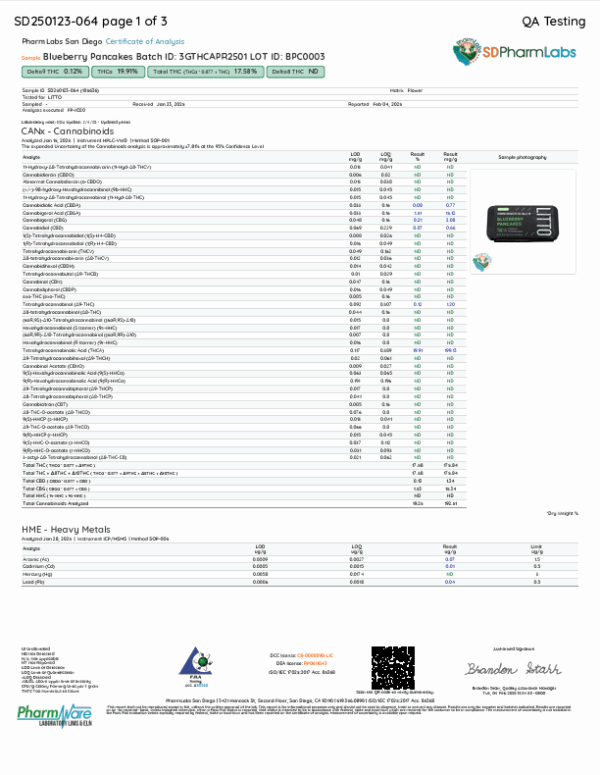 Blueberry Pancakes COA