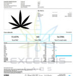 Habit THCa flower SnowCaps Blizzard