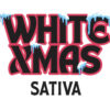 Habit THCA Snow Cap WhiteXmas