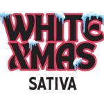 Habit THCA Snow Cap WhiteXmas