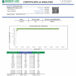 Wildwood 12-12-25 COA