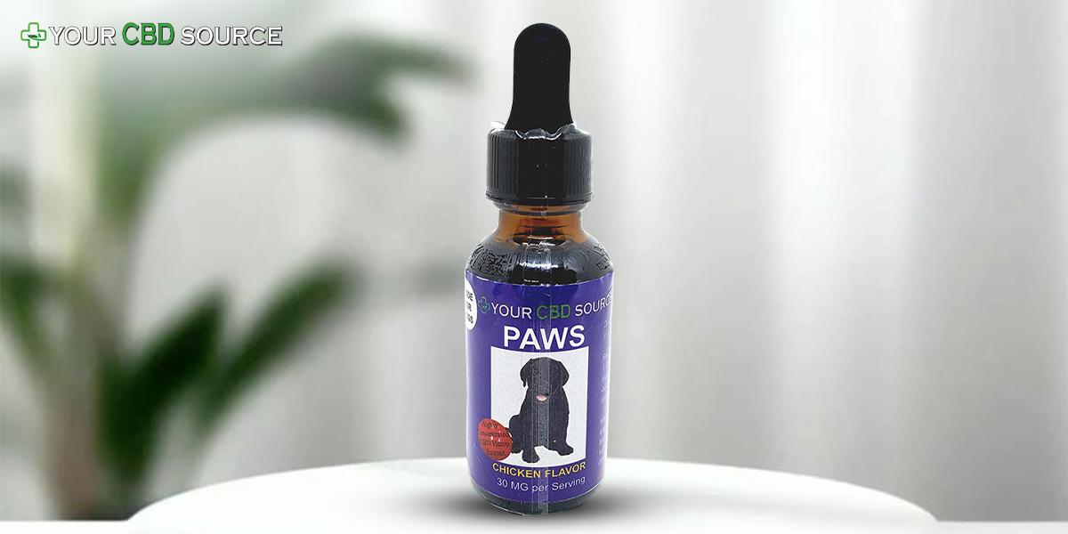 How to Monitor Your Pet’s Response to CBD Oil?