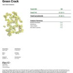 THCa Green Crack Flower