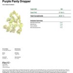 Purple Panty Dropper THCa Flower