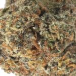 Purple Panty Dropper THCa Flower