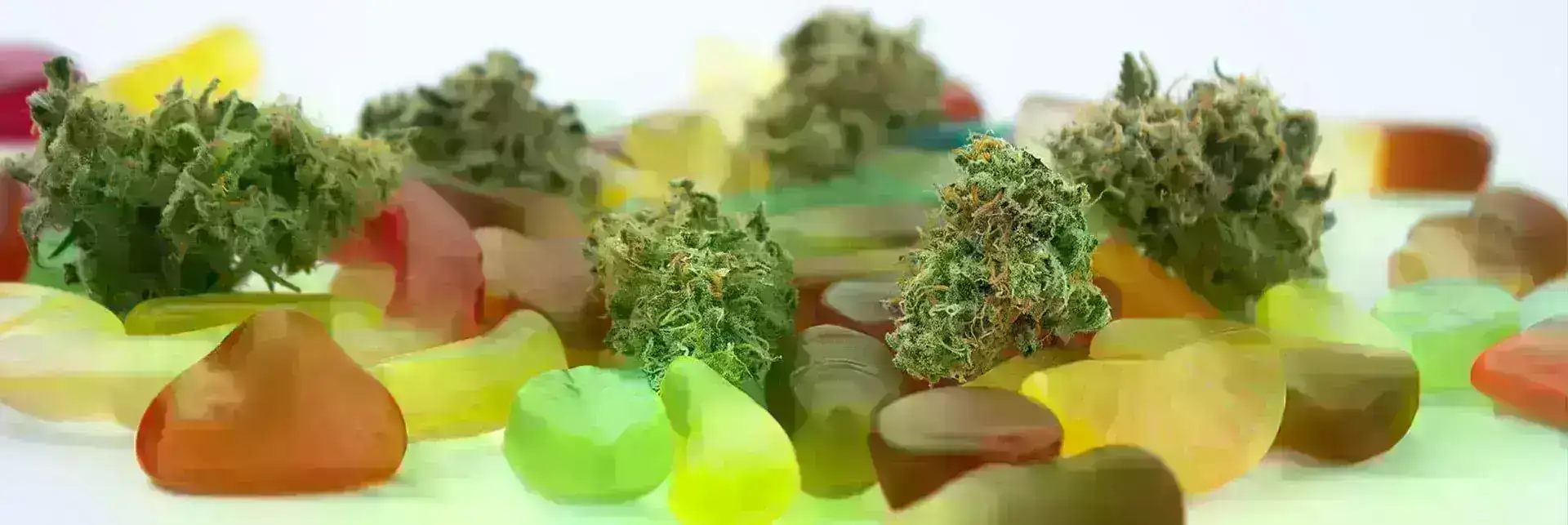 CBD Edibles