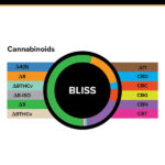 3Chi Bliss Gummy 15mg 20ct