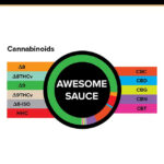 3Chi Awesome Sauce 15mg gummy