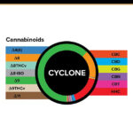 3Chi Gummy 20ct Cyclone