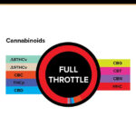 3Chi Gummy 20ct Full Throttle