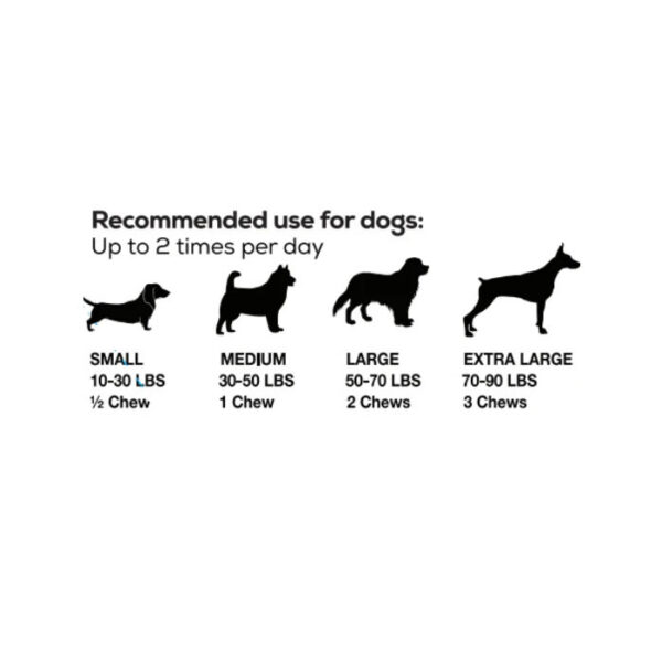 CBD Dog Chews recommended dose