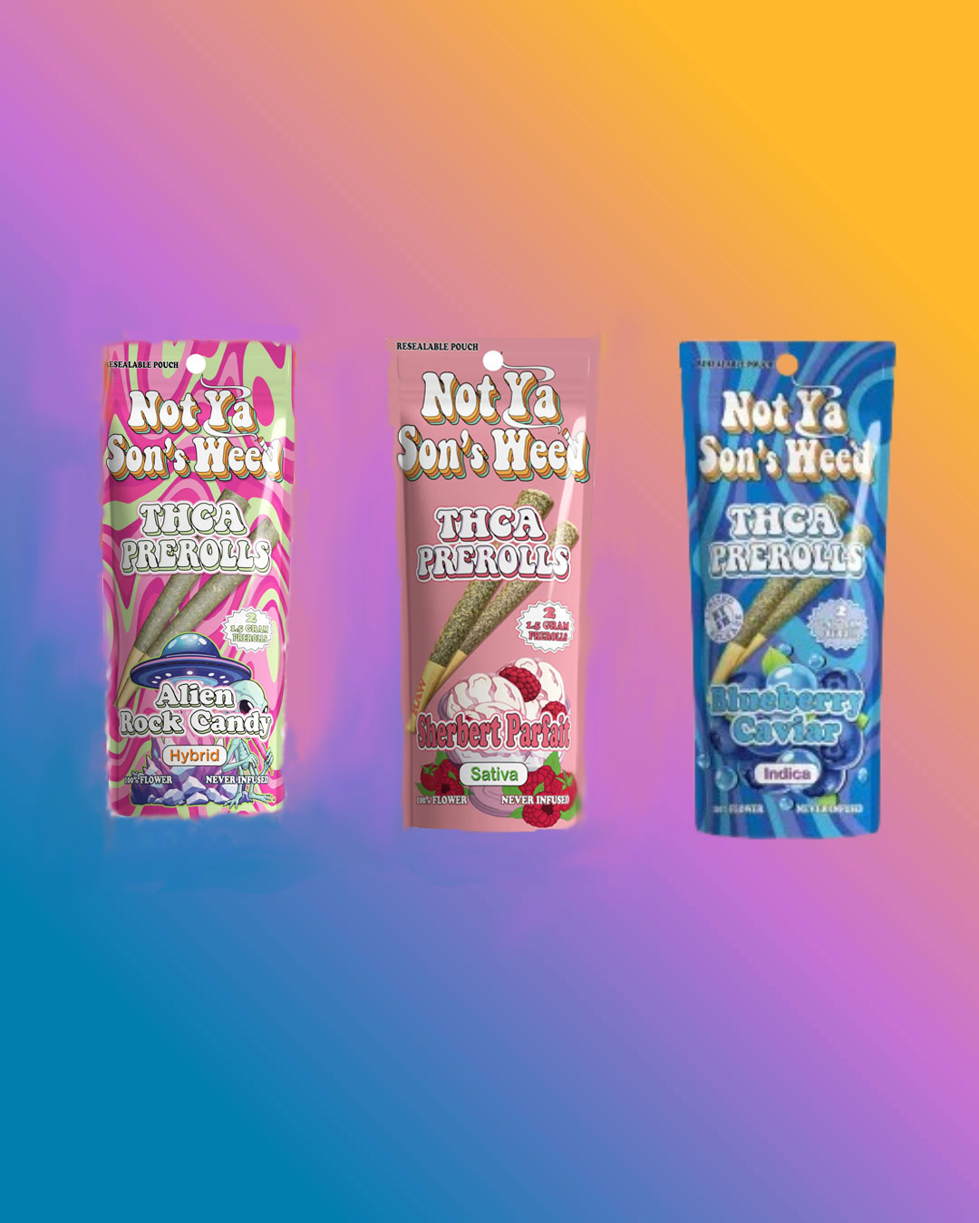 Not Ya Sons Weed THCA Preroll