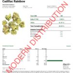Cadillac Rainbow THCa Flower
