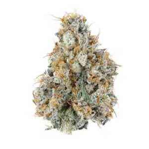Gary Payton Thca Strain