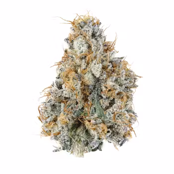 Gary Payton Thca Strain