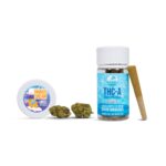 Palms Hemp THCa flower Mango Dreams - COA