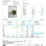 Palms Hemp THCa flower Mango Dream - COA
