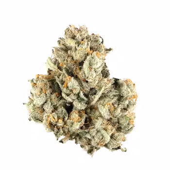 Pink rozay THCa strain
