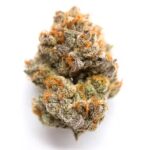 Blue Fire THCa strain