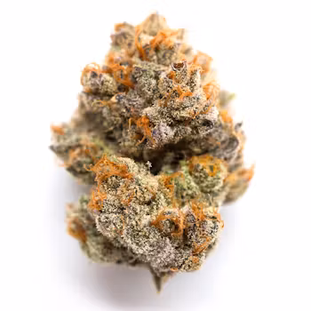 Blue Fire THCa strain