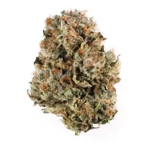 pink panties THCa Strain