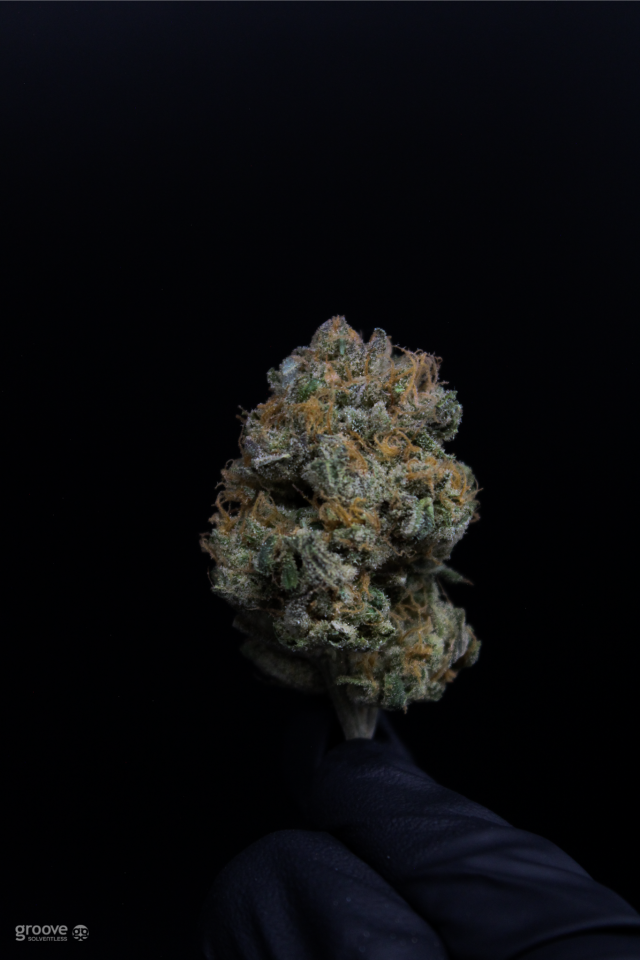 THCa Dream Diesel Flower – Sativa