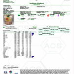 Peaceful Pineapple Gummies COA