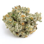 THCa Gas Face Flower – indica