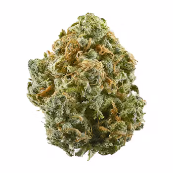 THCa Blue Dream Flower – Sativa