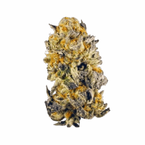 THCa Purple Oreo Flower – Indica