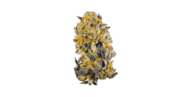 THCa Purple Oreo Flower – Indica