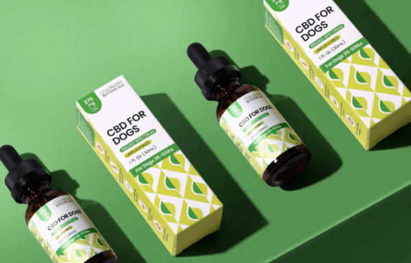 Broad Spectrum CBD Oil for Dogs