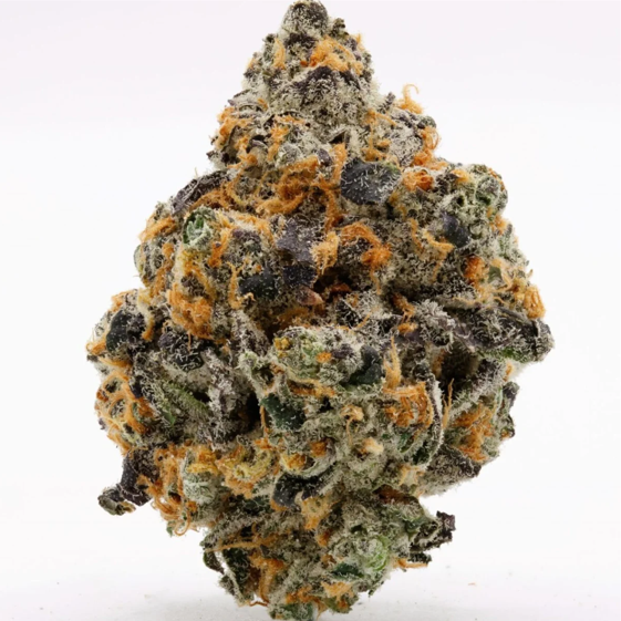 THCa College Park Flower – Sativa