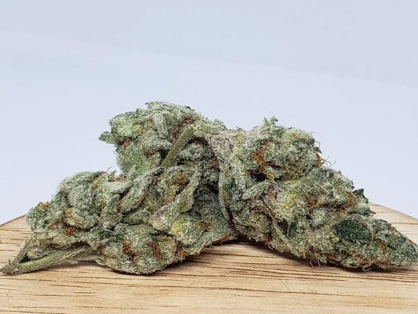 Sugar Cookie THCa Flower