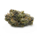 Papaya Punch THCa Flower