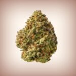 Birthday Cake THCa Flower