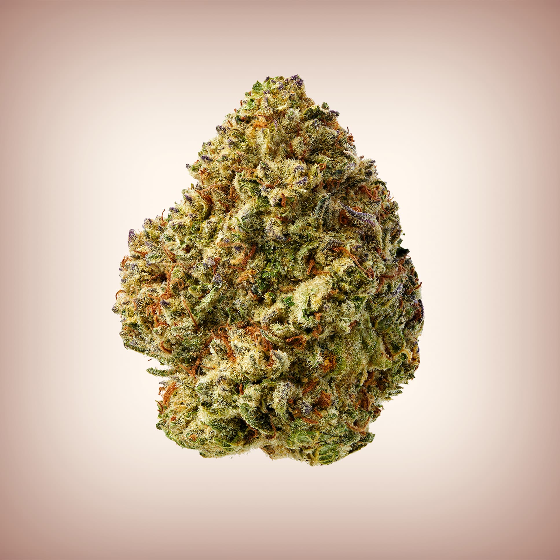 Birthday Cake THCa Flower